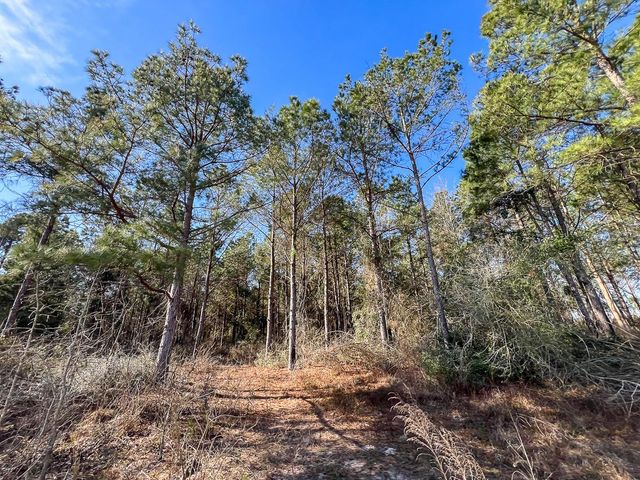 1 Off Fm 247, Huntsville, TX 77340