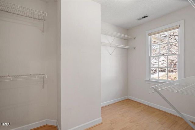 205 Caniff Lane, Cary, NC 27519