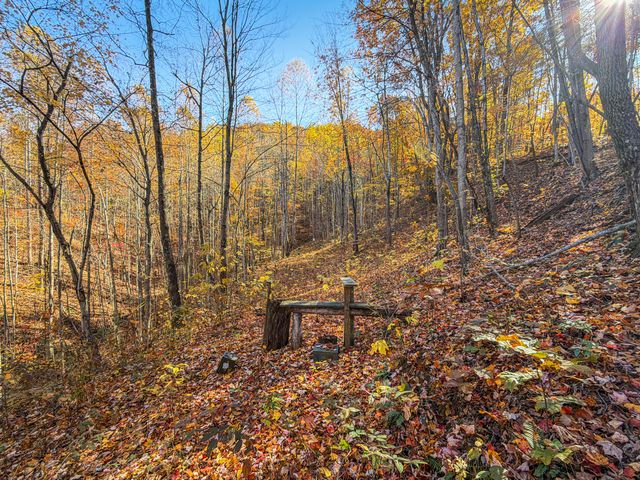 119 Spruce Valley Road, Jeffersonville, KY 40337