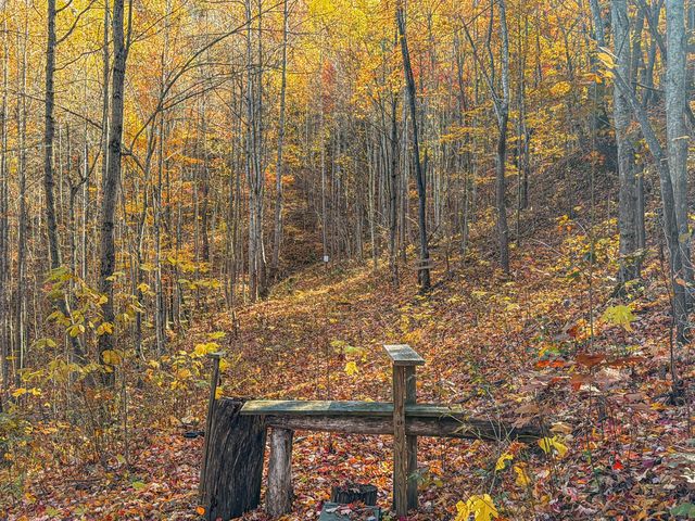 119 Spruce Valley Road, Jeffersonville, KY 40337