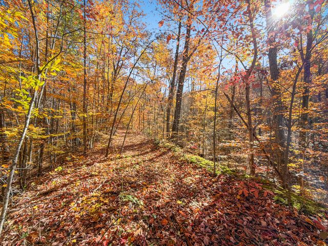 119 Spruce Valley Road, Jeffersonville, KY 40337