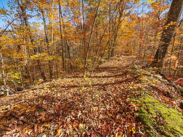 119 Spruce Valley Road, Jeffersonville, KY 40337