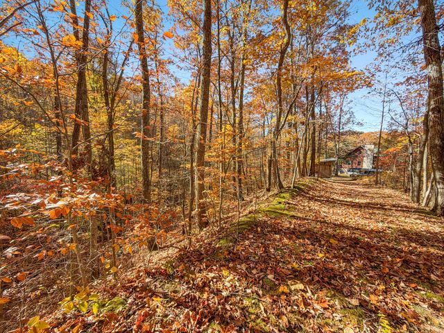 119 Spruce Valley Road, Jeffersonville, KY 40337