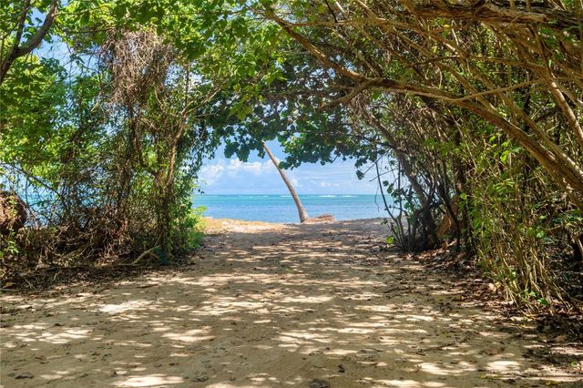 Camino Las Picuas BO. ZARZAL, Rio Grande, PR 00745