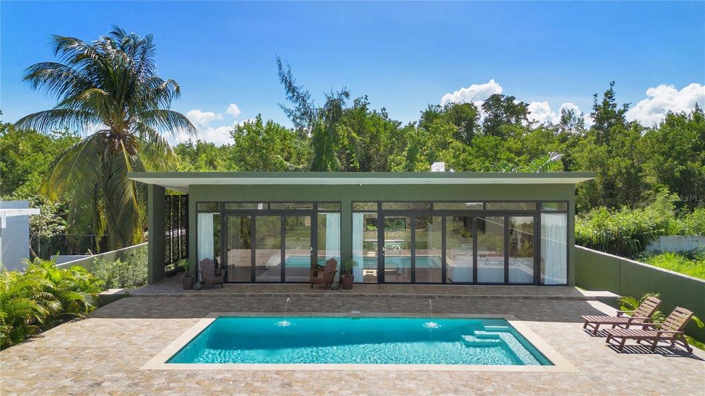 Camino Las Picuas BO. ZARZAL, Rio Grande, PR 00745