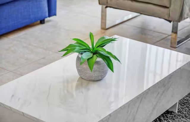 8117 PRINCESS PALM, Kissimmee, FL 34747