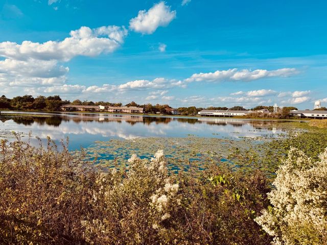 216 AFTON SQUARE 202, Altamonte Springs, FL 32714