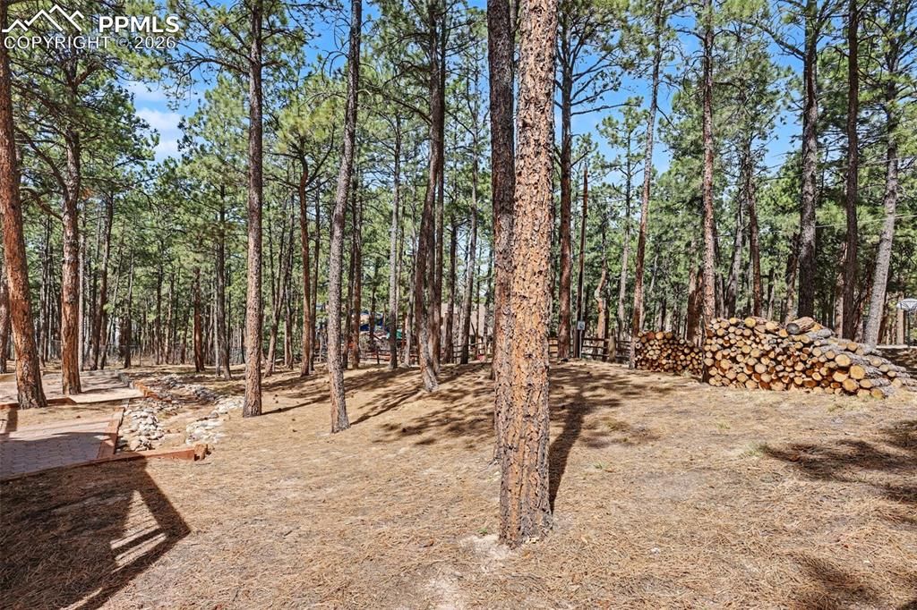 Image 47 of property listing at 1060 Pleasant View Lane, Colorado Springs, CO 80921