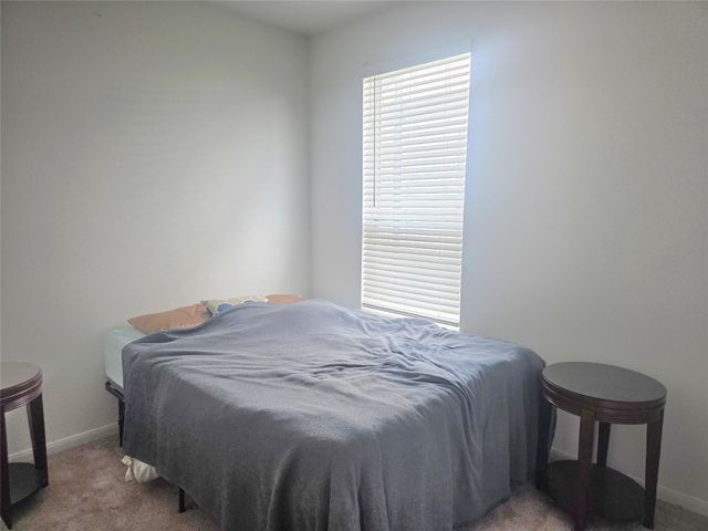 17806 Juneberry Seed Street, Hockley, TX 77447