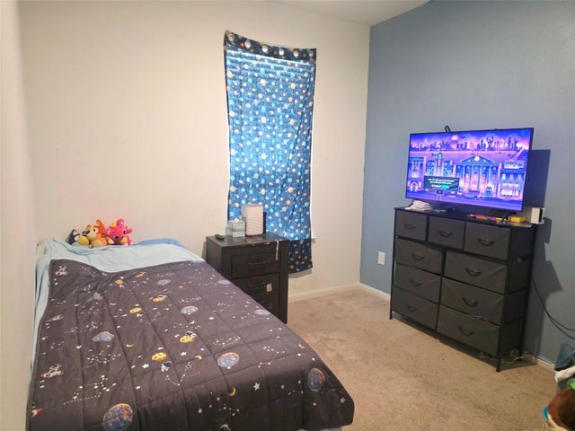 17806 Juneberry Seed Street, Hockley, TX 77447