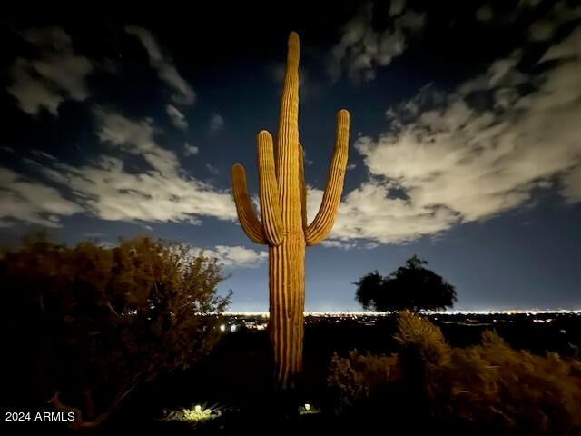 2449 W SUNRISE Drive, Phoenix, AZ 85041