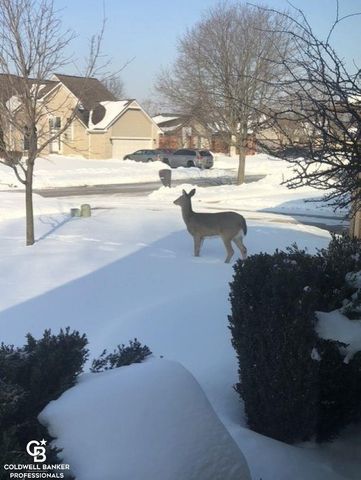 46602 Meadowview Drive, Shelby Twp, MI 48317