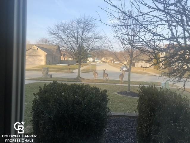 46602 Meadowview Drive, Shelby Twp, MI 48317