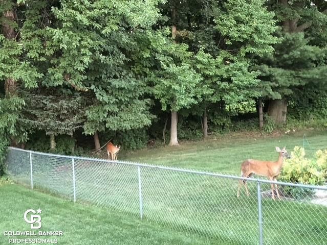 46602 Meadowview Drive, Shelby Twp, MI 48317