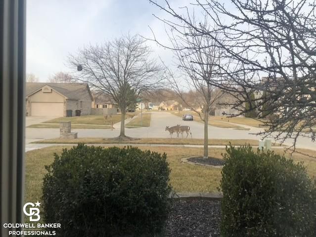 46602 Meadowview Drive, Shelby Twp, MI 48317