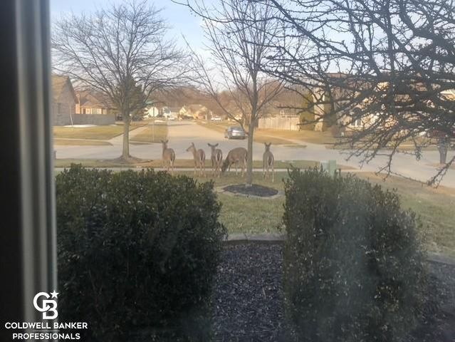 46602 Meadowview Drive, Shelby Twp, MI 48317