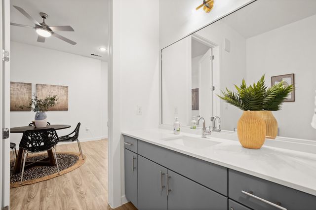 4901 Springdale RD 101, Austin, TX 78723