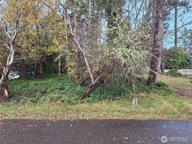 510 Chickamin Court SE, Ocean Shores, WA 98569