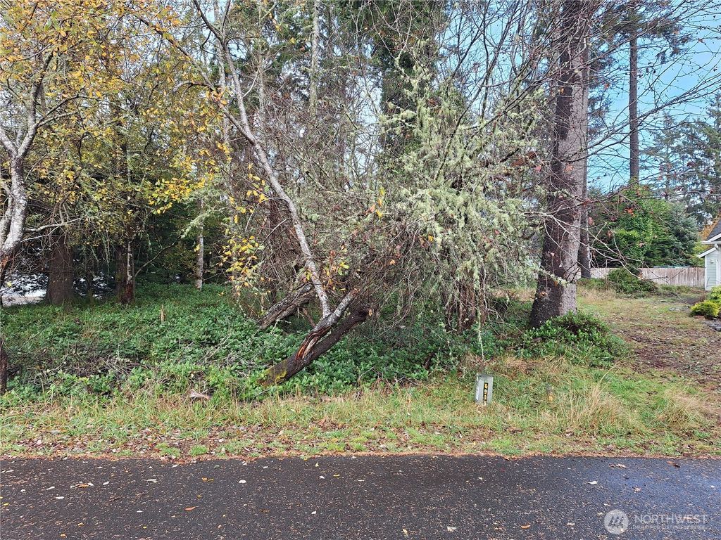 510 Chickamin Court SE, Ocean Shores, WA 98569