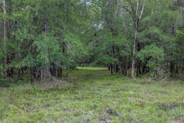 770 S Weyand Road, Round Top, TX 78954