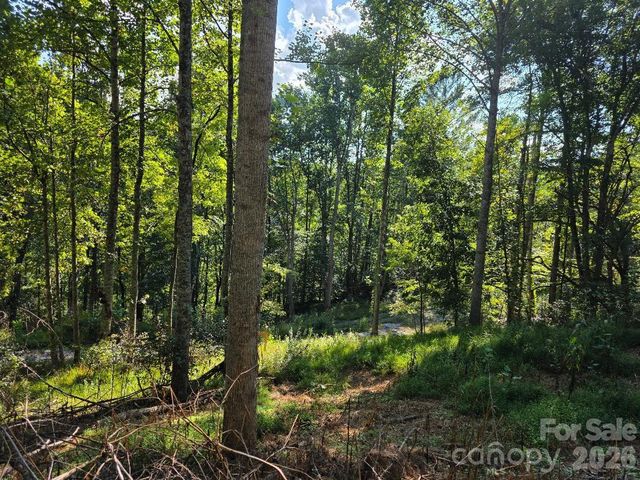 181 Poison Ivy Drive, Burnsville, NC 28714