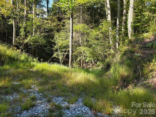 181 Poison Ivy Drive, Burnsville, NC 28714