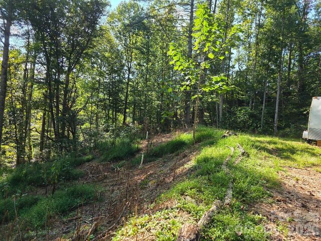 181 Poison Ivy Drive, Burnsville, NC 28714