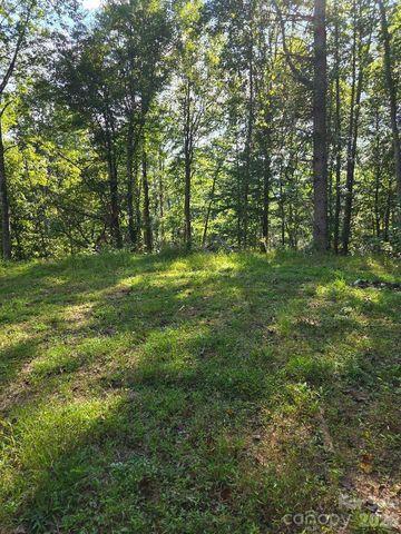 181 Poison Ivy Drive, Burnsville, NC 28714