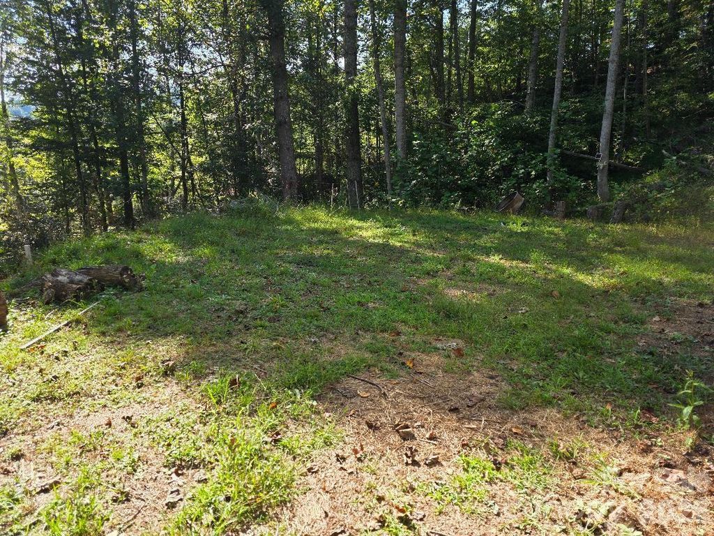 181 Poison Ivy Drive, Burnsville, NC 28714