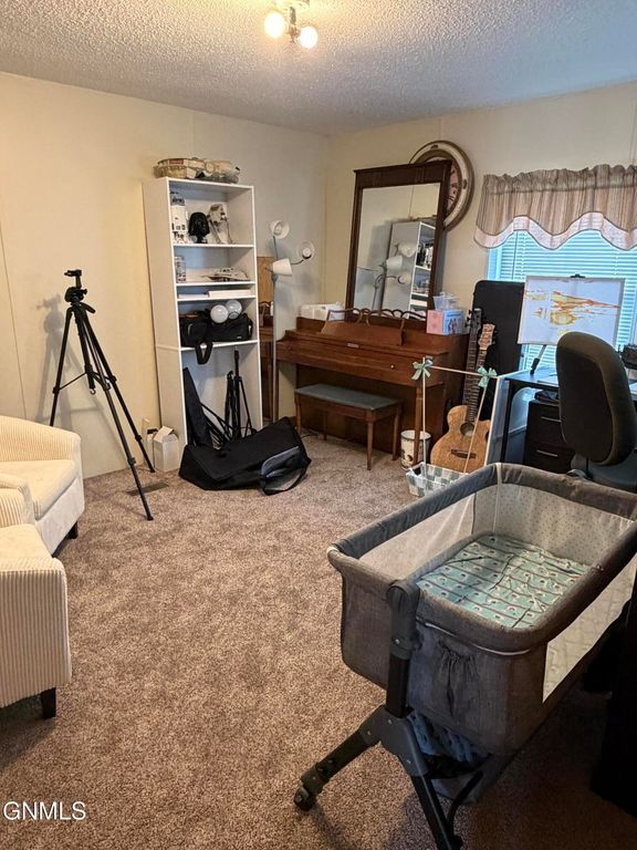 210 Holiday Park, Jamestown, ND 58401 photo 12