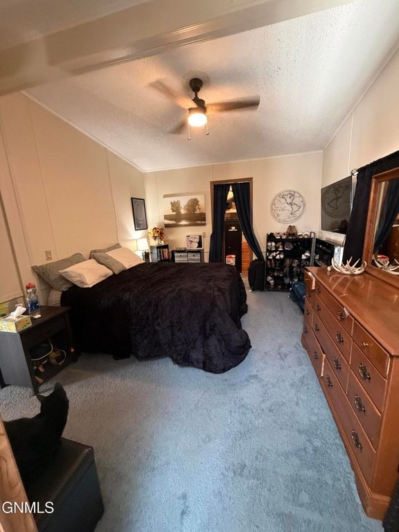 210 Holiday Park, Jamestown, ND 58401 photo 14