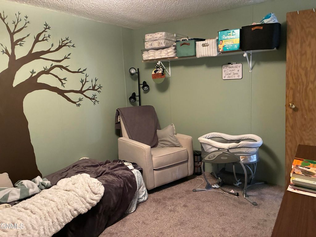 210 Holiday Park, Jamestown, ND 58401 photo 20