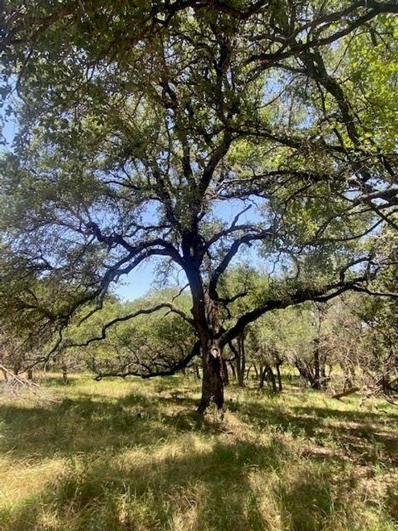 3 Becky LN, Bertram, TX 78605