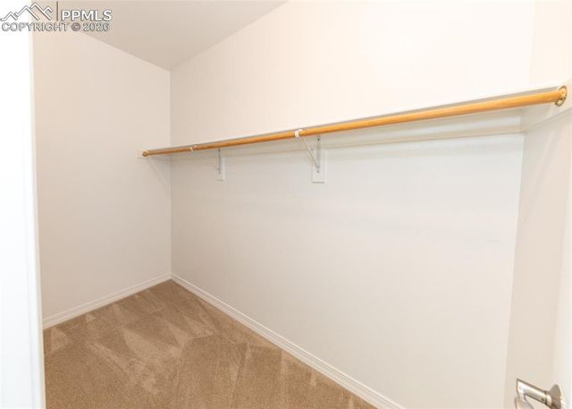 2452 Spanish Oak Terrace, Colorado Springs, CO 80920