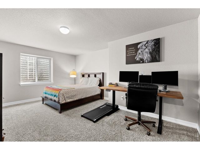 1430 Larimer Ridge Pkwy, Timnath, CO 80547