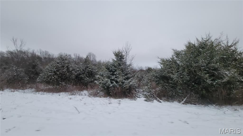 Tract 4 Valley Farm Lane, Warrenton, MO 63383