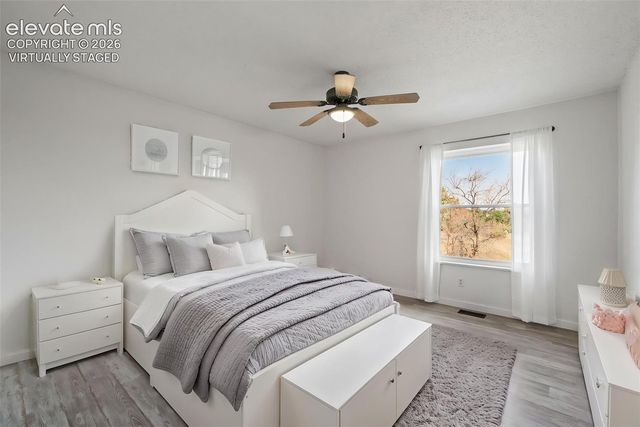 3829 Nuevo Circle, Colorado Springs, CO 80918