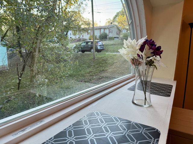 613 McGrew St, Pulaski, TN 38478