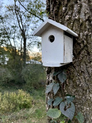 613 McGrew St, Pulaski, TN 38478