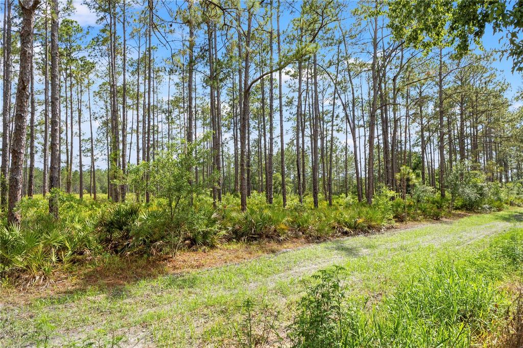 Image 52 of property listing at 9307 POPLAR CREEK COURT, Tampa, FL 33647