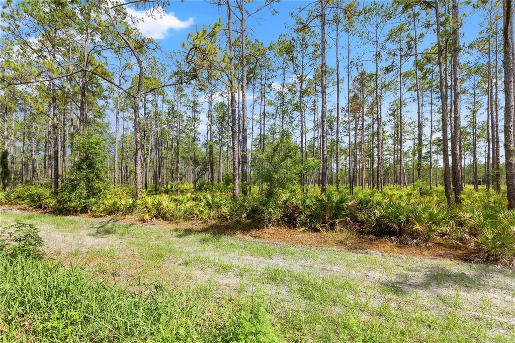 Image 54 of property listing at 9307 POPLAR CREEK COURT, Tampa, FL 33647