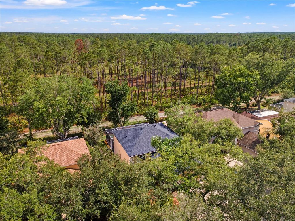 Image 59 of property listing at 9307 POPLAR CREEK COURT, Tampa, FL 33647