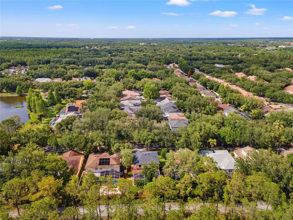 Image 61 of property listing at 9307 POPLAR CREEK COURT, Tampa, FL 33647