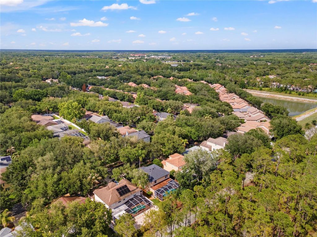 Image 62 of property listing at 9307 POPLAR CREEK COURT, Tampa, FL 33647