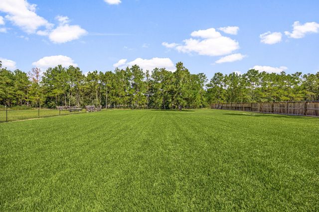 19509 Desna Drive, Porter, TX 77365