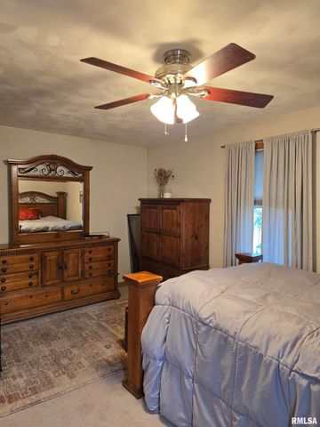 34 8TH Avenue, Canton, IL 61520