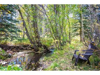 531 Caribou Rd, Nederland, CO 80466