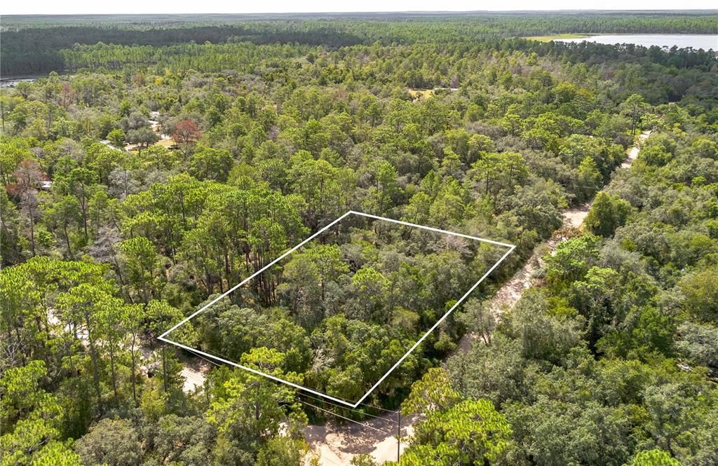 0 SOUTHEAST 92ND PLACE, Ocklawaha, FL 32179