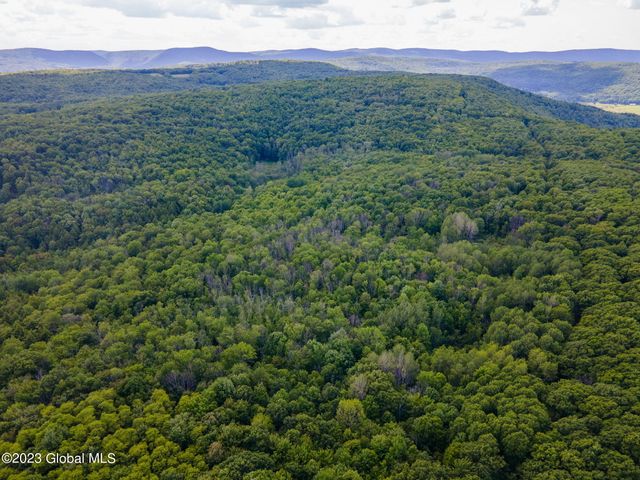 L10.23 Podpadic Road, Seward, NY 12043