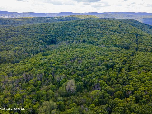 L10.23 Podpadic Road, Seward, NY 12043